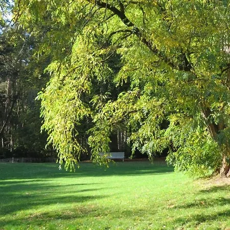 Gite Incontournable Avec Sauna Et Piscine Dans Propriete De Charme Et Boisee Villers-la-Ville