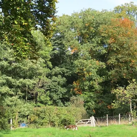 Gite Incontournable Avec Sauna Et Piscine Dans Propriete De Charme Et Boisee Villers-la-Ville